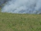 Zdjęcie przedstawia front budynku komisariatu Policji Warszawa Białołęka