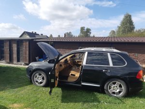 Zdjęcie przedstawia samochód m-ki Porsche koloru czarnego. Pojazd stoi zaparkowany równolegle do brązowego niskiego budynku. Samochód ma otwarte lewe drzwi od kierowcy i podniesioną maskę, wewnątrz widać jasnobrązowe obicie.