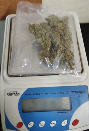 na zdjęciu widać zabezpieczone narkotyki w torebce foliowej na wadze elektronicznej