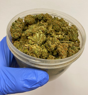 Zdjęcie przedstawia dłoń ubraną w niebieską rękawiczkę ochronną trzymającą przezroczyste opakowanie z zielonym suszem roślinnym.