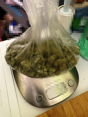 Zdjęcie przedstawia zielony susz roślinny w foliowej torebce leżącej na srebrnej wadze.