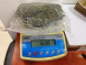 Zdjęcie przedstawia susz roślinny w foliowym opakowaniu.