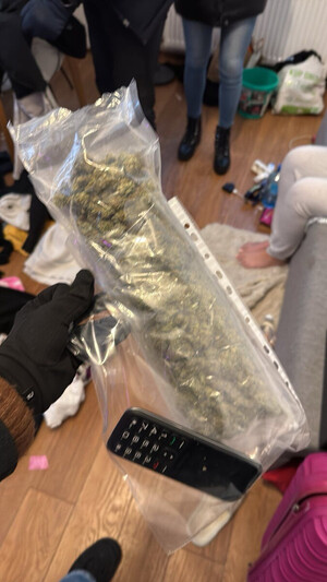 Zdjęcie przedstawia foliowe opakowanie w którym znajduje się susz roślinny.