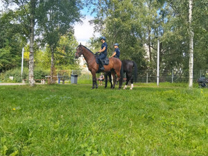 Zdjęcie przedstawiają dwóch policjantów na koniach służbowych w parku.